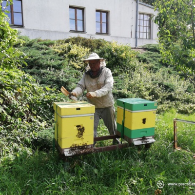 21.08. 2019 Festyn Rodzinny w Ogrodzie Zoobotanicznym